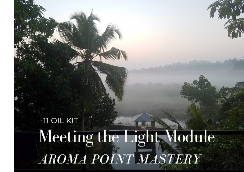 Meeting the Light Module Kit Aroma Point Mastery