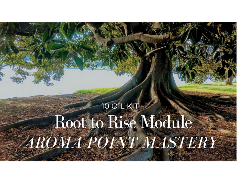 Root to Rise Module Kit Aroma Point Mastery