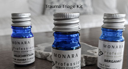 Trauma Triage Kit